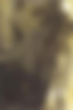 Le billet de faveur (preview)