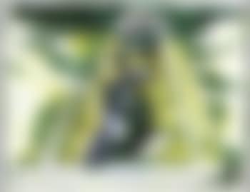 Compositie (preview)