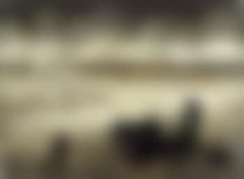 L'epave (preview)