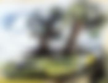 Paysage (preview)