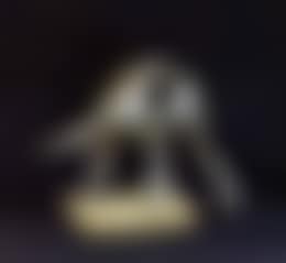 Vocalists (preview)