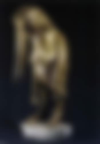La collectionneuse (preview)