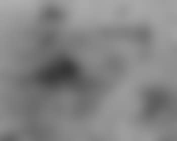 Personnages (preview)
