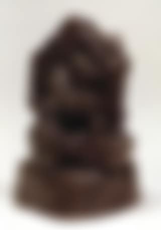 La chrysalide (preview)