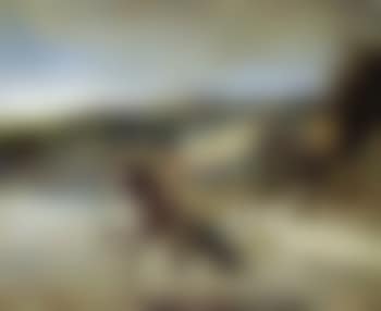 Cavalier arabe devant la ville (preview)