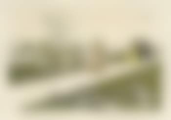 Jardin des Tuileries (preview)