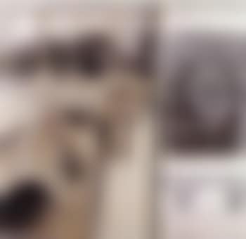 The Pont-Neuf wrapped (preview)