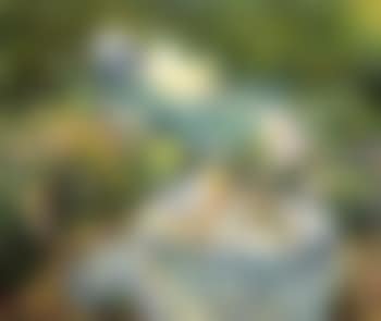 Lunching by the well (preview)