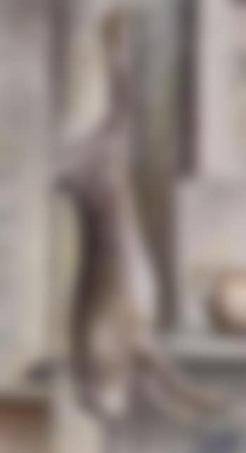 Hare (preview)