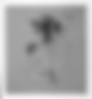 Female figure (preview)