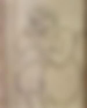 Figure assise (preview)