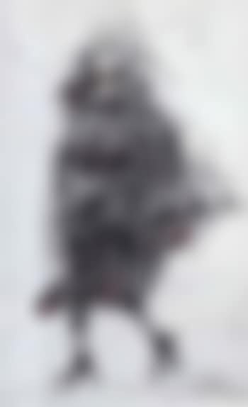 Oiseau (preview)