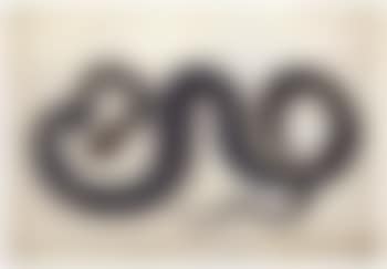 Grass snake (preview)