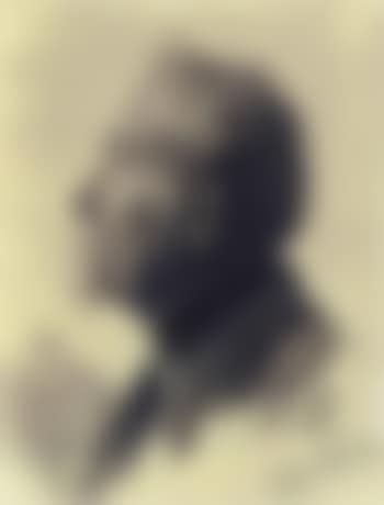 Head of bearded man in profile (preview)