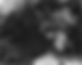 Blackboard drawing (preview)