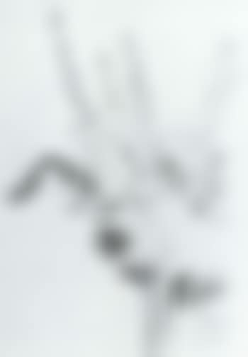 Mallow (preview)