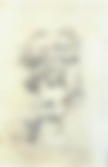 Rocky wooded landscape (preview)