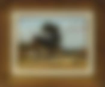 Cabin (preview)