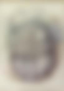 Head (preview)