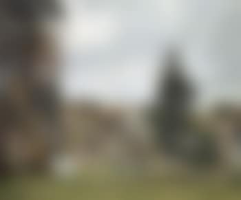 Paysage avec cheval blanc dans un pre, l'Hermitage (preview)