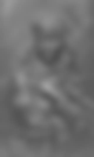 Femme orientale (preview)