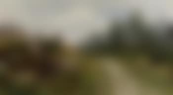 Summer landscape with road (preview)