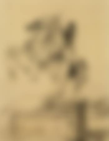 Statue equestre sur socle (preview)