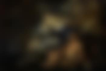 Diana and Endymion (preview)