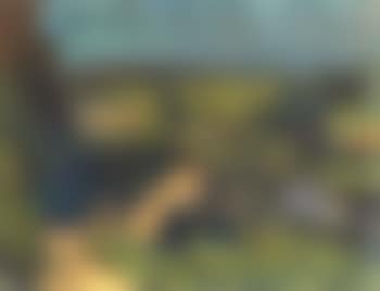 Summer landscape (preview)