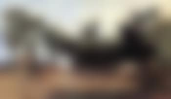 Landscape with cows (preview)