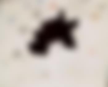 Composition fond blanc (preview)
