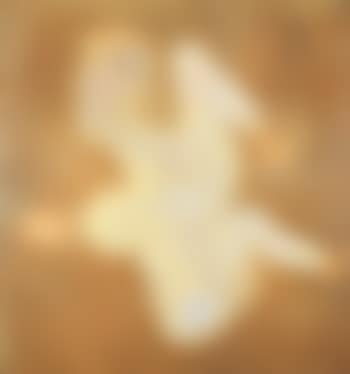 Cephalopode (preview)