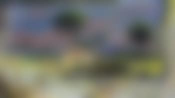 Paysage du Midi (preview)