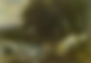 Dogs and ducks in landscape (preview)