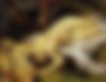 Nu dans un paysage (preview)