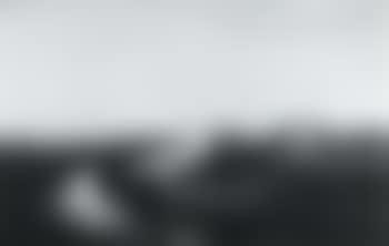 Cattle in river landscape (preview)