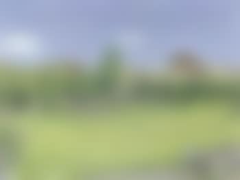 Summer landscape near Maloja (preview)
