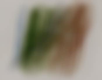 P1958-248 (preview)