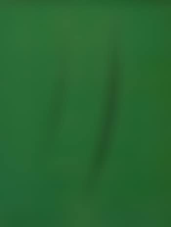 Concetto spaziale, Attese (preview)