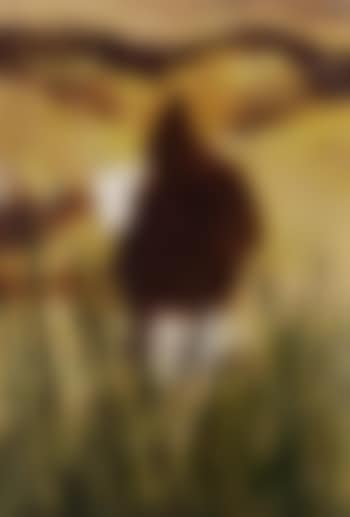 Figure in a mountain landscape (preview)