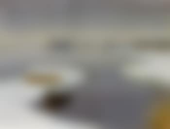 Loosdrechtse plassen (preview)