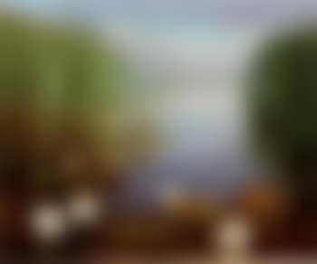 Waterlelies (preview)