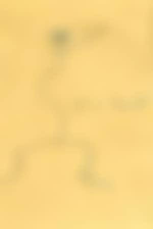 Loplop (preview)