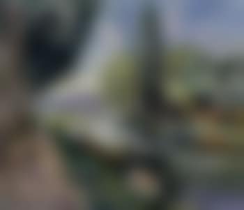 Le petit Rhone (preview)