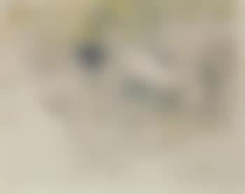 Cygnes (preview)