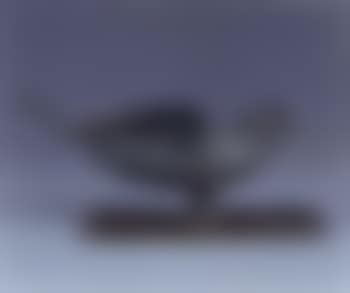 Oiseau volant (preview)