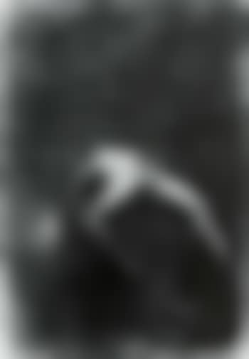 Femme nue couchee (preview)