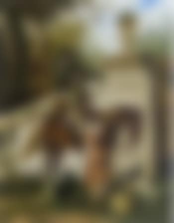 Girl trying to reach rose held by man on horse (preview)