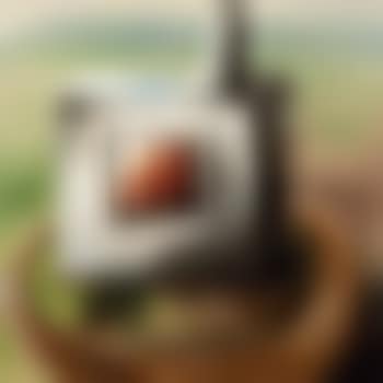 Small brothel (preview)
