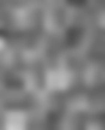 Accumulation of Nets - No 3 (preview)